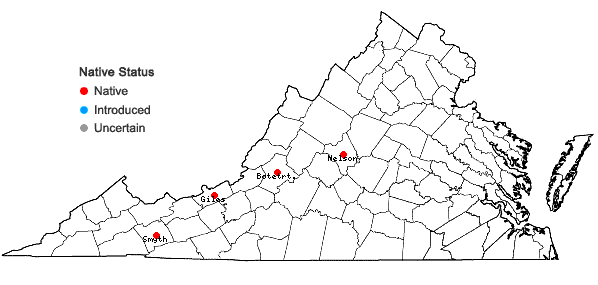 Locations ofBucklandiella venusta (Frisvoll) Bednarek-Ochyra & Ochyra in Virginia