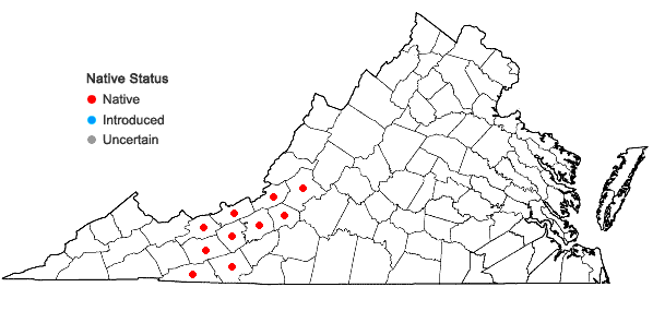 Locations ofBuckleya distichophylla (Nutt.) Torr. in Virginia