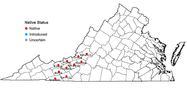 Locations ofBuckleya distichophylla (Nutt.) Torr. in Virginia