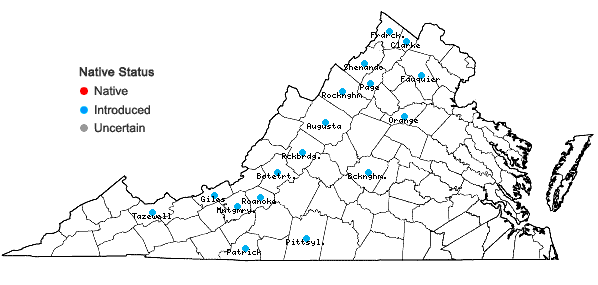Locations ofBupleurum rotundifolium L. in Virginia