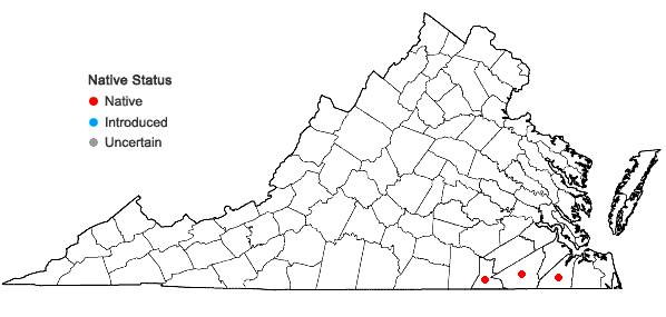 Locations ofBurmannia biflora L. in Virginia