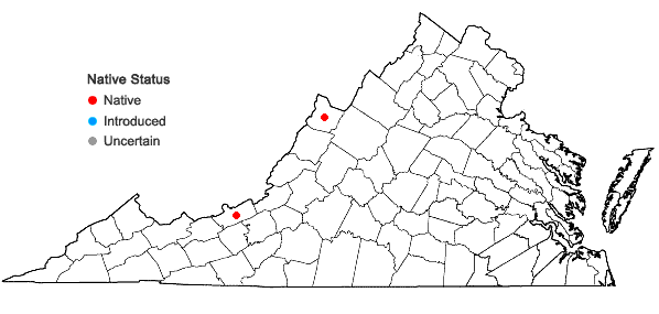 Locations ofBuxbaumia minakatae S. Okamura in Virginia