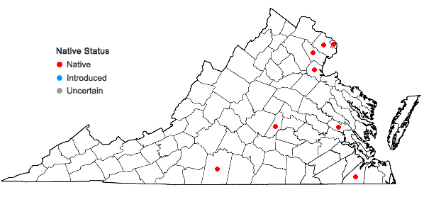 Locations ofCabomba caroliniana A. Gray in Virginia