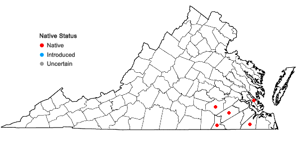 Locations ofCalamovilfa brevipilis (Torr.) Scribn. in Virginia