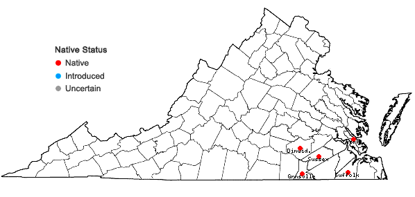 Locations ofCalamovilfa brevipilis (Torr.) Scribn. in Virginia