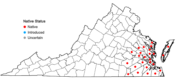 Locations ofCallicarpa americana L. in Virginia