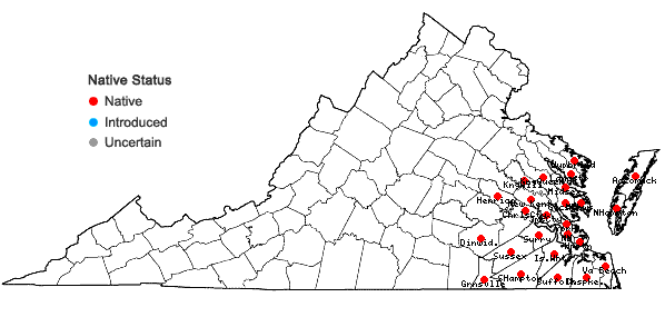 Locations ofCallicarpa americana L. in Virginia