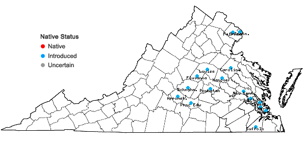 Locations ofCallicarpa dichotoma (Loureiro) K. Koch in Virginia