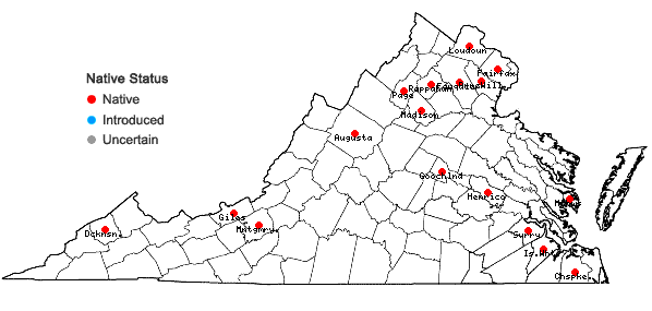 Locations ofCallicladium haldaneanum (Grev.) H.A. Crum in Virginia