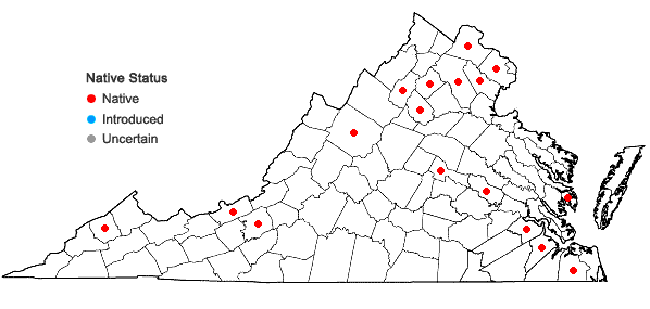 Locations ofCallicladium haldanianum (Grev.) H.A. Crum in Virginia