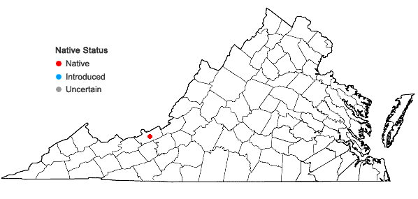 Locations ofCalliergon cordifolium (Hedw.) Kindb. in Virginia