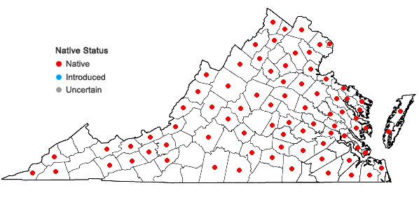 Locations ofCallitriche heterophylla Pursh ssp. heterophylla in Virginia