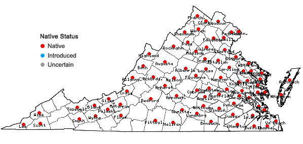 Locations ofCallitriche heterophylla Pursh var. heterophylla in Virginia