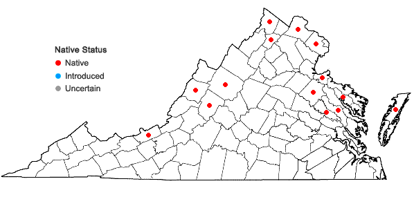 Locations ofCallitriche palustris L. in Virginia