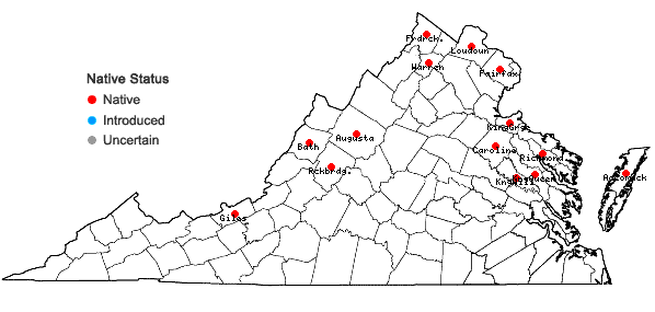 Locations ofCallitriche palustris L. in Virginia