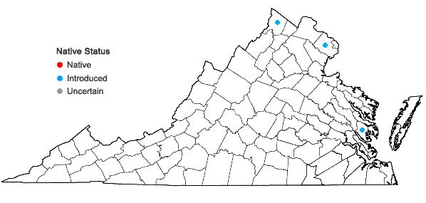 Locations ofCallitriche stagnalis Scop. in Virginia