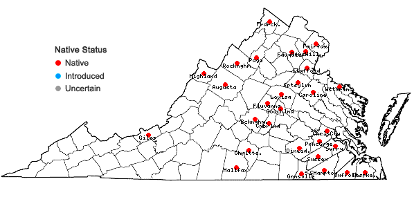 Locations ofCallitriche terrestris Raf. in Virginia