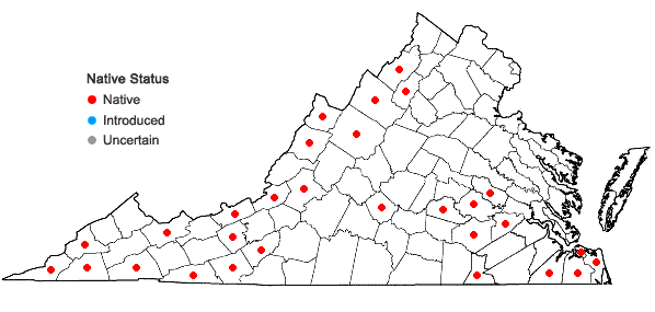 Locations ofCalopogon tuberosus (L.) BSP var. tuberosus in Virginia