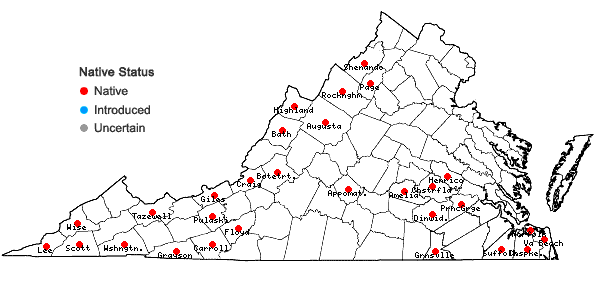 Locations ofCalopogon tuberosus (L.) BSP var. tuberosus in Virginia