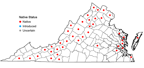 Locations ofCaltha palustris L. in Virginia