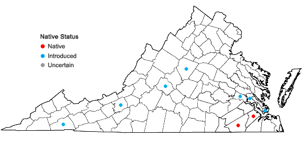 Locations ofCalycanthus floridus L. var. floridus in Virginia