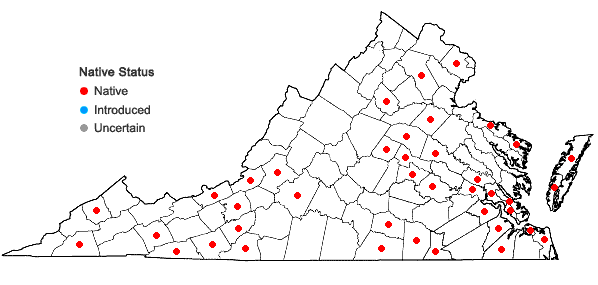 Locations ofCalypogeia muelleriana (Schiffn.) Müll. Frib. in Virginia