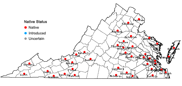 Locations ofCalypogeia muelleriana (Schiffn.) Müll. Frib. in Virginia