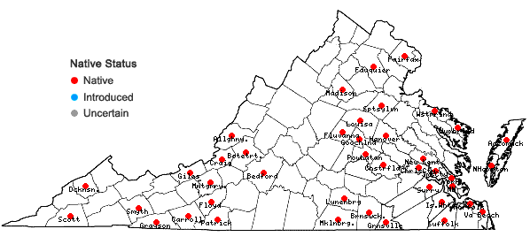 Locations ofCalypogeia muelleriana (Schiffn.) Müll. Frib. in Virginia