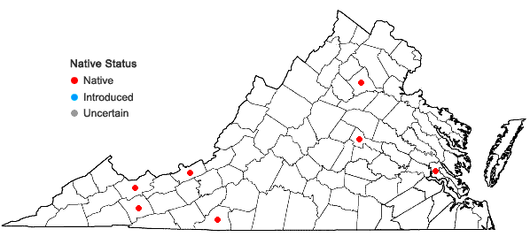 Locations ofCalypogeia neesiana (C. Massal. & Carestia) Müll. Frib. in Virginia