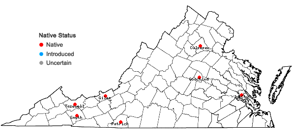 Locations ofCalypogeia neesiana (C. Massal. & Carestia) Müll. Frib. in Virginia