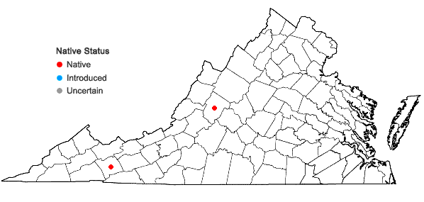Locations ofCalypogeia suecica (Arnell & J. Perss.) K. Müller in Virginia
