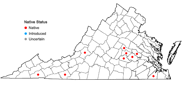 Locations ofCalypogeia sullivantii Austin in Virginia