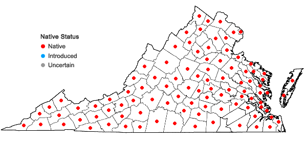 Locations ofCalystegia sepium (L.) R. Br. in Virginia