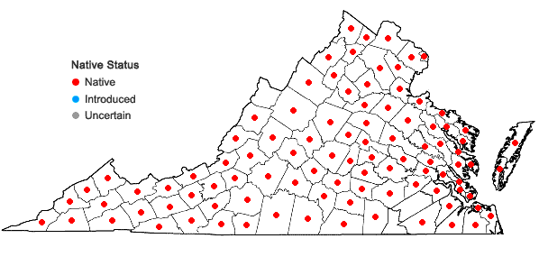 Locations ofCalystegia sepium (L.) R. Br. complex in Virginia