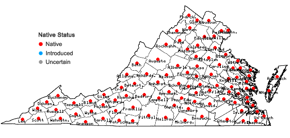 Locations ofCalystegia sepium (L.) R. Br. complex in Virginia