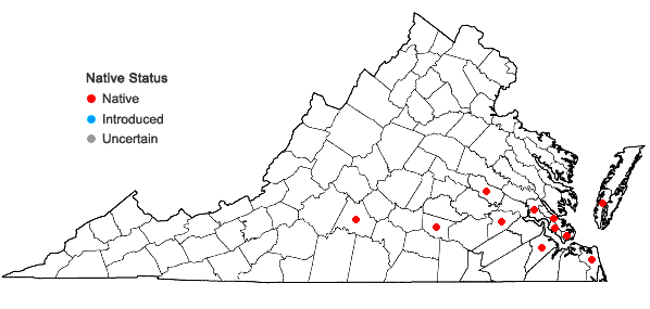 Locations ofCalystegia sepium (L.) R. Br. ssp. americana (Sims) Brummitt in Virginia