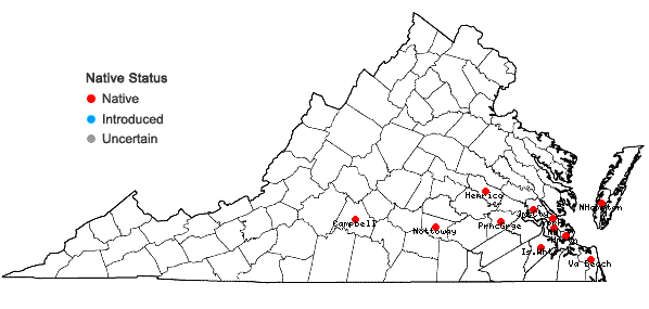 Locations ofCalystegia sepium (L.) R. Br. ssp. americana (Sims) Brummitt in Virginia