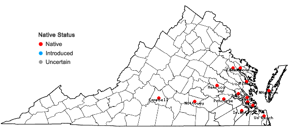 Locations ofCalystegia sepium (L.) R. Br. ssp. americana (Sims) Brummitt in Virginia
