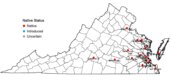 Locations ofCalystegia sepium (L.) R. Br. ssp. americana (Sims) Brummitt in Virginia