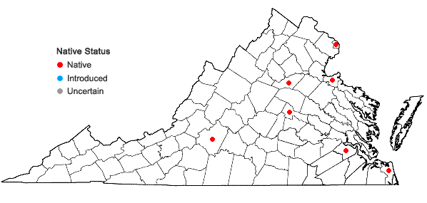 Locations ofCalystegia sepium (L.) R. Br. ssp. appalachiana (Sims) Brummitt in Virginia