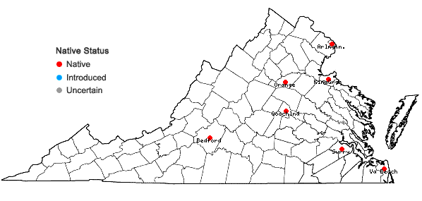 Locations ofCalystegia sepium (L.) R. Br. ssp. appalachiana (Sims) Brummitt in Virginia