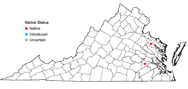 Locations ofCalystegia sepium (L.) R. Br. ssp. limnophila (Greene) Brummitt in Virginia