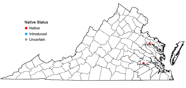 Locations ofCalystegia sepium (L.) R. Br. ssp. limnophila (Greene) Brummitt in Virginia