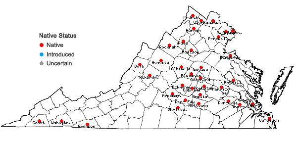 Locations ofCalystegia silvatica (Kit.) Griesb.  ssp. fraterniflora (Mackenzie & Bush) Brummitt in Virginia