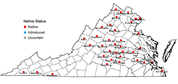 Locations ofCalystegia silvatica (Kit.) Griesb.  ssp. fraterniflora (Mackenzie & Bush) Brummitt in Virginia