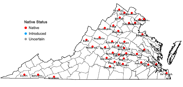Locations ofCalystegia silvatica (Kit.) Griesb.  ssp. fraterniflora (Mackenzie & Bush) Brummitt in Virginia
