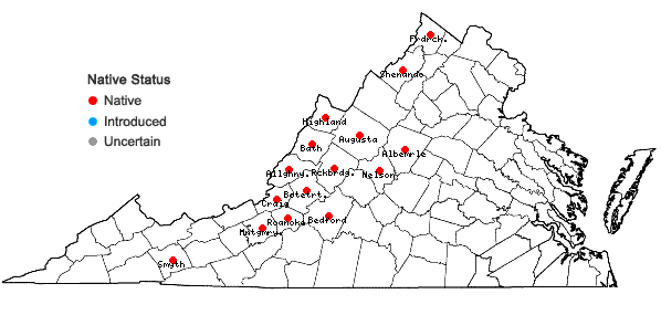 Locations ofCalystegia spithamaea (L.) Pursh ssp. purshiana (Wherry ) Brummitt in Virginia