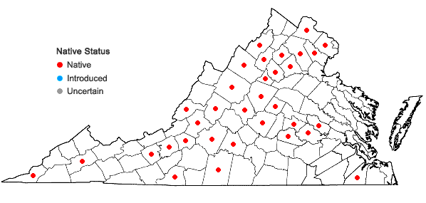 Locations ofCalystegia spithamaea (L.) Pursh ssp. spithamaea in Virginia