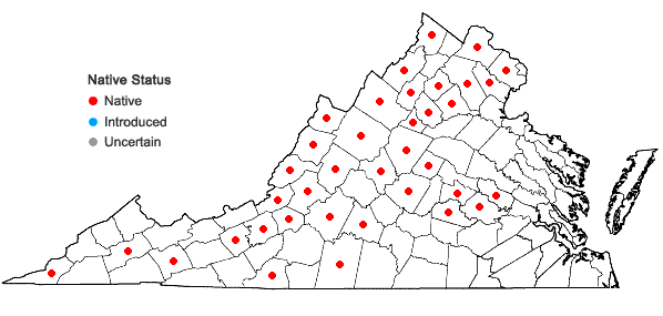 Locations ofCalystegia spithamaea (L.) Pursh in Virginia