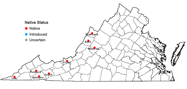 Locations ofCamassia scilloides (Raf.) Cory in Virginia